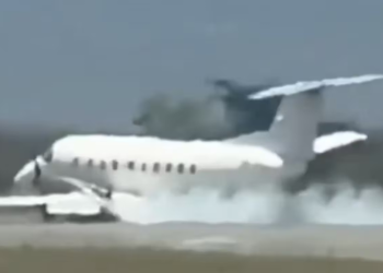 Un avión chocó contra una cebra y aterrizó de emergencia