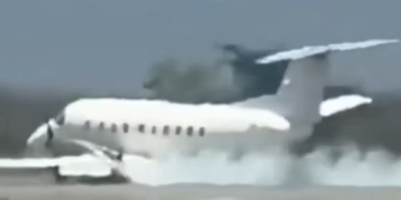 Un avión chocó contra una cebra y aterrizó de emergencia
