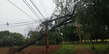 ANDE normaliza el 93% de las líneas afectadas por el temporal