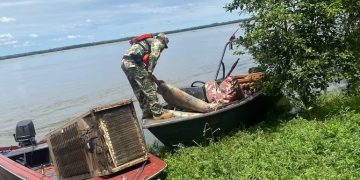 Crecida del río Paraná obliga a evacuar a 12 familias en Ayolas
