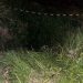 Encontraron en un pozo el cuerpo de un desaparecido junto a su moto