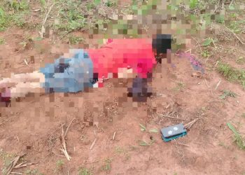 Hallan sin vida a un hombre en una plantación en San Pedro del Paraná