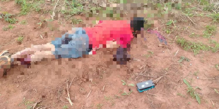 Hallan sin vida a un hombre en una plantación en San Pedro del Paraná