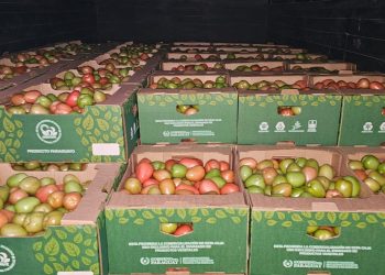 MAG concreta primer envío de tomate paraguayo a Brasil