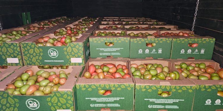 MAG concreta primer envío de tomate paraguayo a Brasil