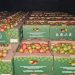 MAG concreta primer envío de tomate paraguayo a Brasil