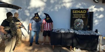 SENAD incauta 48,5 kilos de marihuana premium en Hernandarias