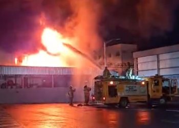 Incendio afecta a planta farmacéutica en Ypané