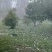 Meteorología advierte sobre lluvias y posibles tormentas severas desde el jueves
