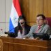 Comisión del Senado dictamina a favor de elevar penas por abigeato y modificar artículos sobre delitos sexuales
