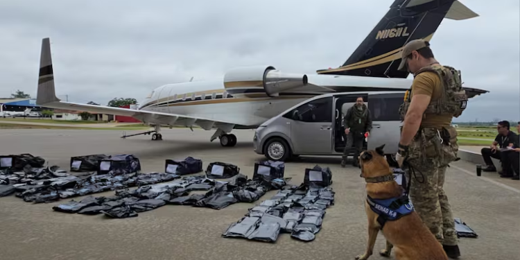 Imputaron a cuatro implicados por ingreso de 263 kilos de marihuana premium desde EE.UU