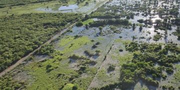 MAG prepara plan para recuperar producción afectada por inundaciones y granizadas