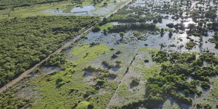MAG prepara plan para recuperar producción afectada por inundaciones y granizadas