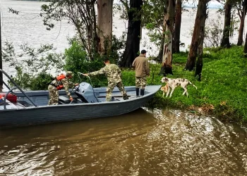 La Armada rescata a mascotas abandonados tras la crecida del río Paraná en Ayolas