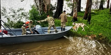 La Armada rescata a mascotas abandonados tras la crecida del río Paraná en Ayolas