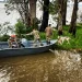 La Armada rescata a mascotas abandonados tras la crecida del río Paraná en Ayolas