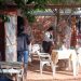 Vacían un humilde copetín en Yby Yaú