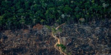 Amazonía brasileña en su nivel más bajo desde 1988