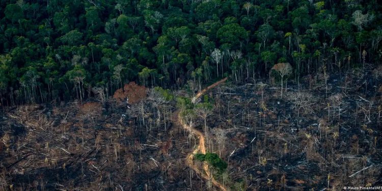 Amazonía brasileña en su nivel más bajo desde 1988