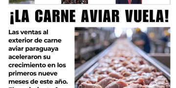 19 Octubre 2026