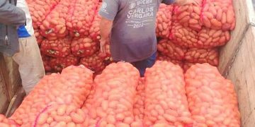 Productores de Itapúa logran millonaria venta de papa