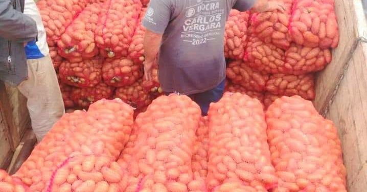 Productores de Itapúa logran millonaria venta de papa
