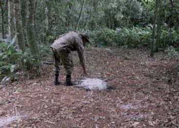 Un hombre fue hallado muerto en una reserva natural de Ypejhú