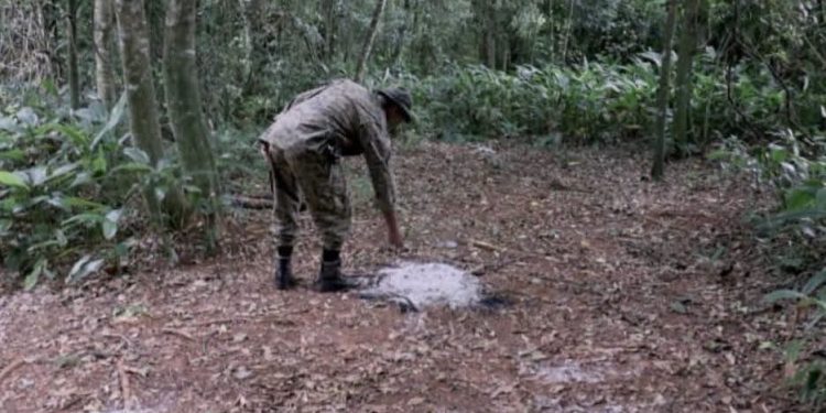 Un hombre fue hallado muerto en una reserva natural de Ypejhú