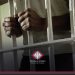 37 años de prisión al hombre que asesinó y desmembró a su pareja