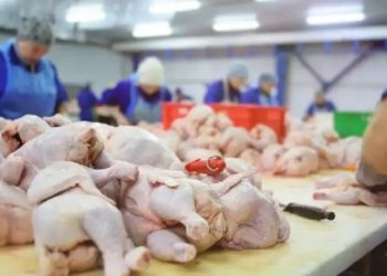 El pollo supera por primera vez a la carne vacuna en el consumo argentino