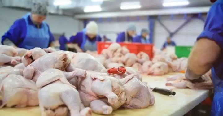 El pollo supera por primera vez a la carne vacuna en el consumo argentino