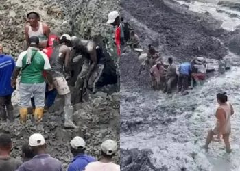 Al menos 14 muertos por derrumbe de una mina de oro ilegal en Colombia