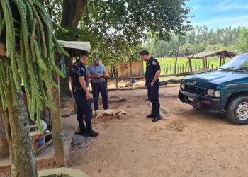 Policía remite a la Fiscalía el caso de un perro muerto por un disparo