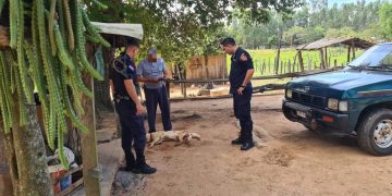 Policía remite a la Fiscalía el caso de un perro muerto por un disparo