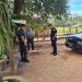 Policía remite a la Fiscalía el caso de un perro muerto por un disparo