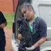 Rescatan a perro con graves lesiones tras denuncia por maltrato animal en Ñemby