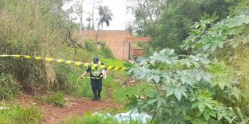 Hallaron un cuerpo calcinado y desmembrado en un baldío de PJC