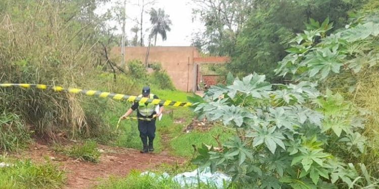Hallaron un cuerpo calcinado y desmembrado en un baldío de PJC