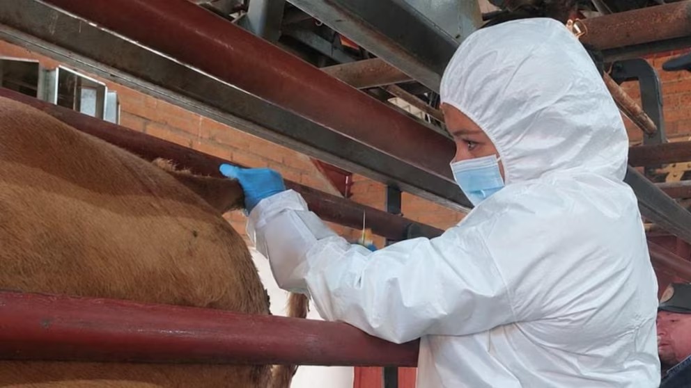 Imagen de la cobertura: Francia confirma el primer caso humano en el mundo del virus Shamonda tras fallecimiento del paciente