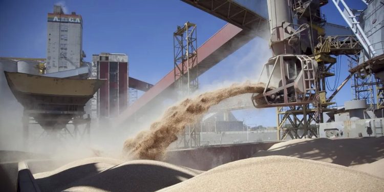 El comercio exterior paraguayo logra una fuerte recuperación y cierra con saldo a favor a septiembre