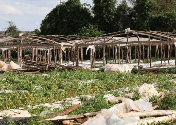 Ministerio de Agricultura difunde recomendaciones preventivas ante anuncio de temporal