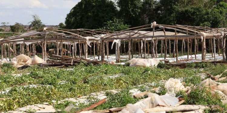 Ministerio de Agricultura difunde recomendaciones preventivas ante anuncio de temporal