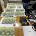 Incautan celulares, dinero y documentos financieros en un operativo por usura