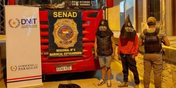 SENAD desbarató una carga de droga oculta entre cueros
