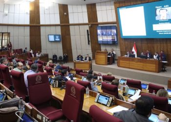 Media sanción de Diputados para la creación de un nuevo municipio en Guairá