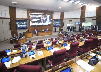 Diputados da media sanción a la reducción horaria para bioquímicos y farmacéuticos del IPS