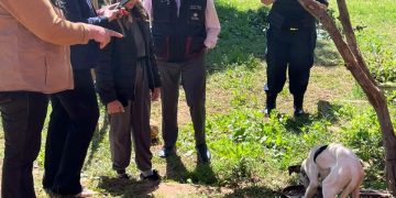 Fiscalía rescata a una cachorra encadenada en Misiones e investiga a su dueño por maltrato