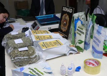 Intentaron esconder marihuana VIP en café, pero el olfato de Zorro los delató