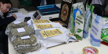 Intentaron esconder marihuana VIP en café, pero el olfato de Zorro los delató