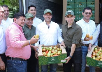 Productores de Caaguazú concretan la primera exportación de tomate a Uruguay